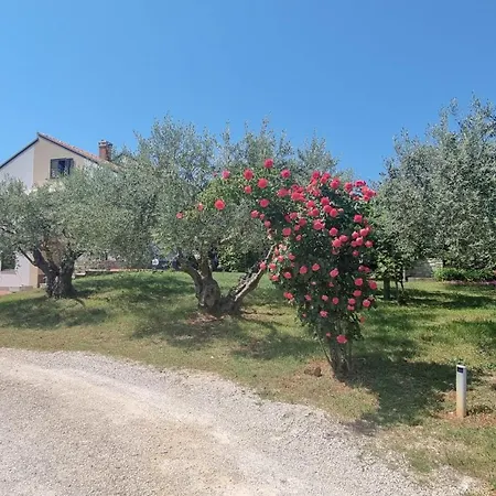 Apartment Nadja Zambratija (Istria)